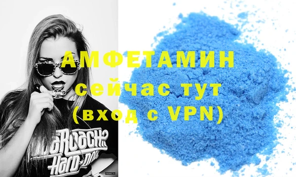 прущие грибы Новодвинск