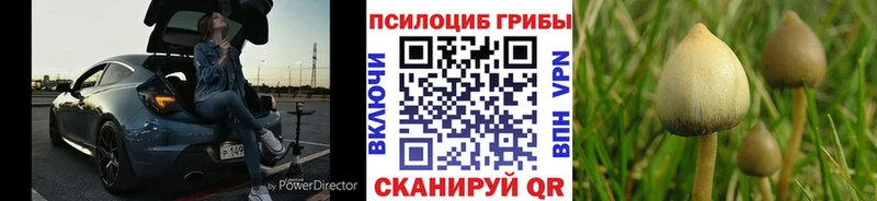 мориарти какой сайт  Нягань  omg ссылка  Галлюциногенные грибы мухоморы  сколько стоит 