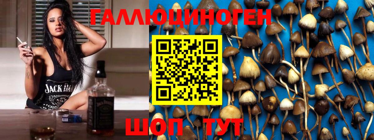 Псилоцибиновые грибы MAGIC MUSHROOMS Нягань