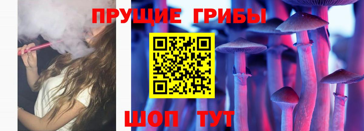 купить   Вход с VPN  Нягань  Галлюциногенные грибы мицелий  Псилоцибиновые грибы Psilocybe 